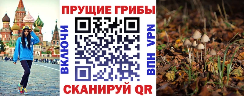 хочу наркоту  mega онион  Псилоцибиновые грибы прущие грибы  Чекалин 